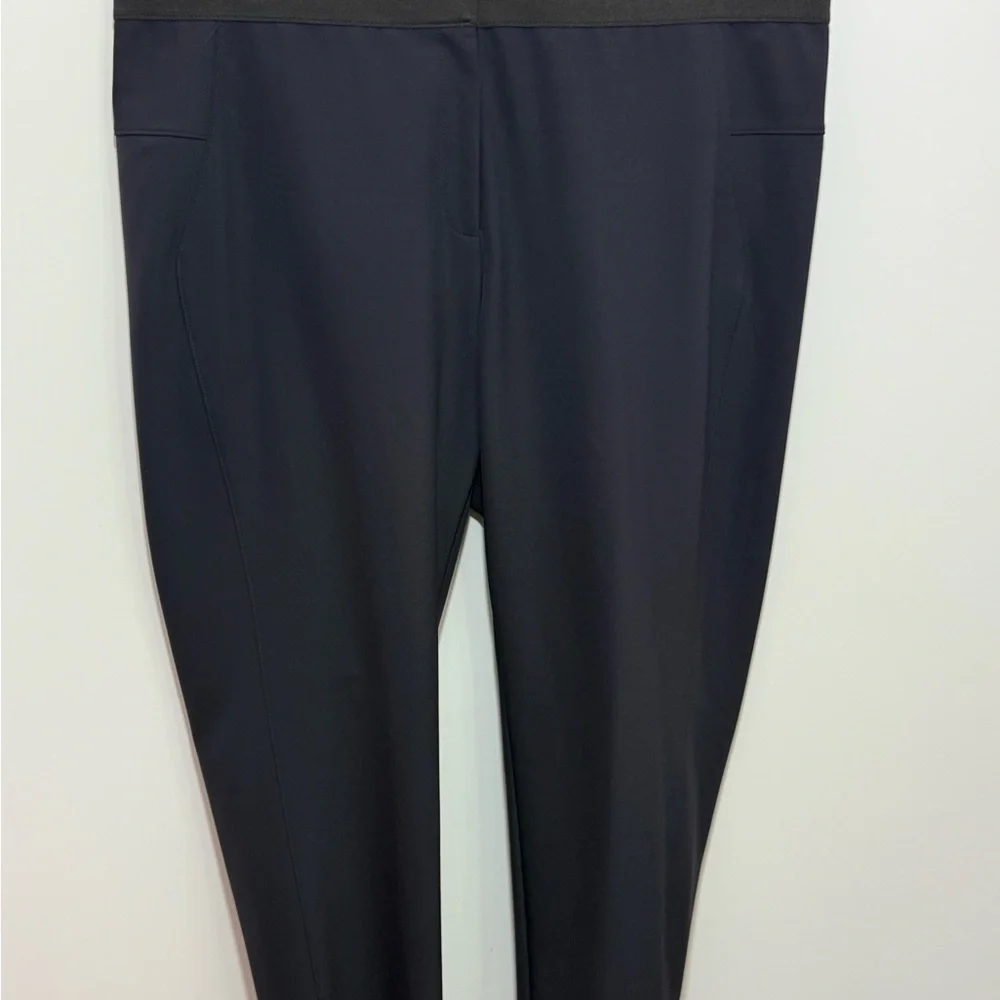 NWT Lafayette 148 New York Tribeca Stretch Skinny Leg Pants Ink Blue Size 3X